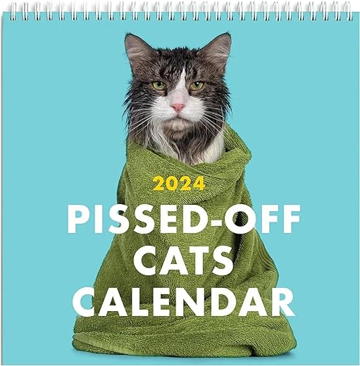 2024 Pissed Off Cats Calendar Cats Wall Calendar 2024 Funny Cat Wall Calendar Desktop 7798