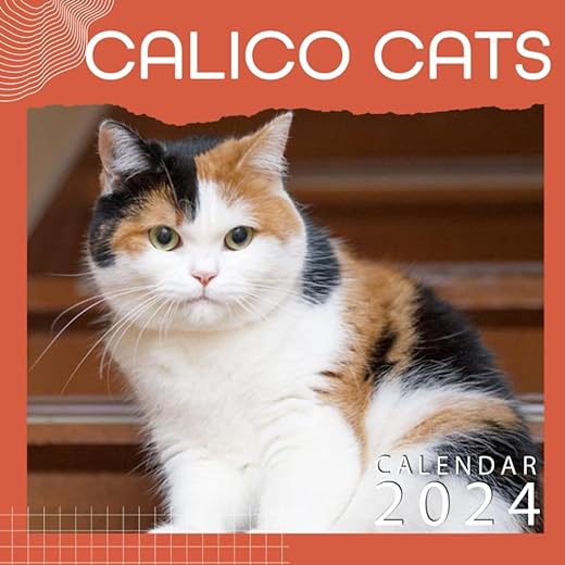 Calico Cats calendar 2024 Calico Cats Calendar 2024 ,, Jan 2024 to Dec