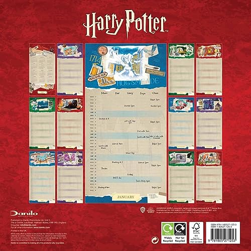 Harry Potter Family Planner 2024 Paperback Books