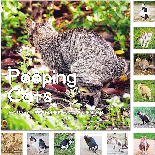 Pooping Cats Calendar 2024 Perfect White Elephant Gift, Funny