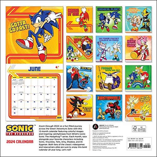 Sonic the Hedgehog 2024 Calendar Paperback Books